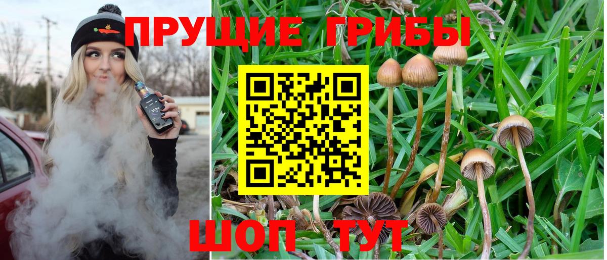 Галлюциногенные грибы ЛСД  Тара  наркошоп  Галлюциногенные грибы прущие грибы 